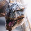 axovawacoxyx